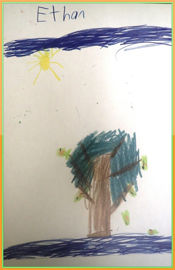 Drawing of trout growing on trees by Ethan