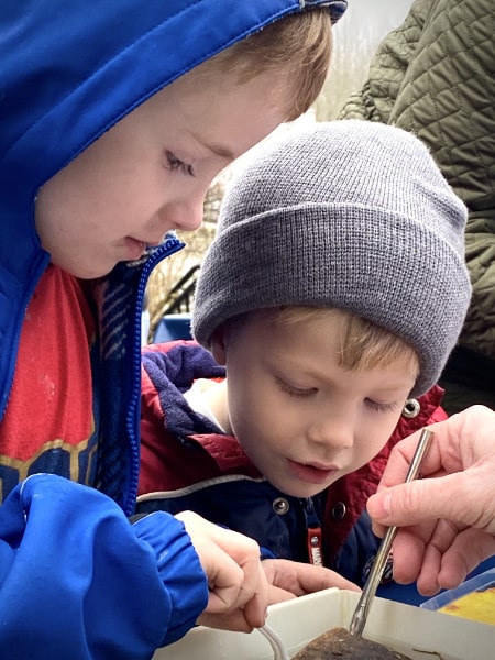 Closeup of two young boys looking at aquatic insects in a tray.
