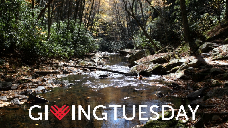 A stream cascade in southwest Virginia with the Giving Tuesday logo at the bottom.
