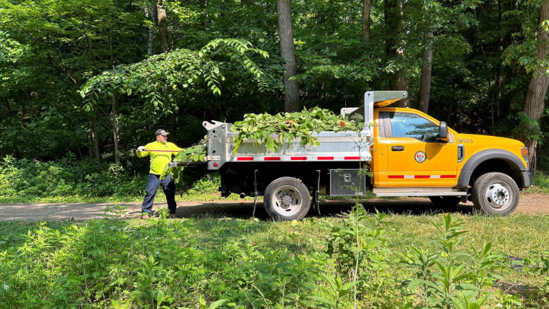 Invasive plant materials removed by watershed stewards are loaded into a truck for disposal.