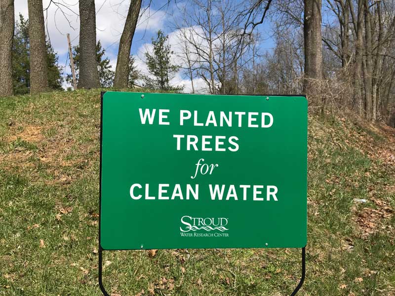Sign reading We Planted Trees for Clean Water