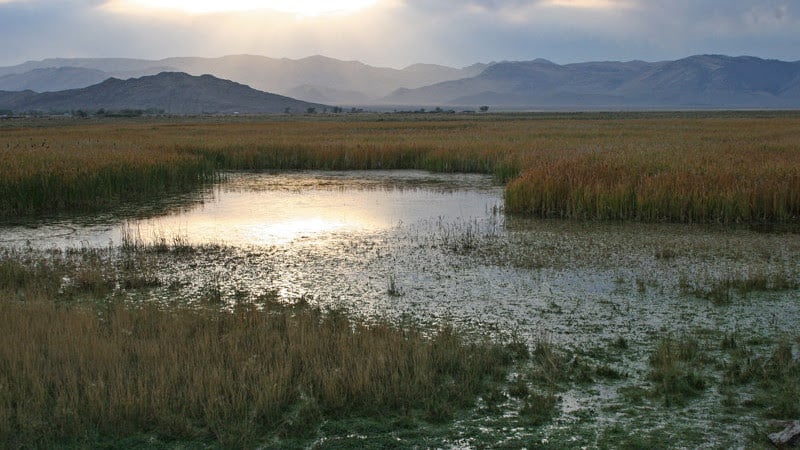 Sunset over a California wetland with mountains in the distance.