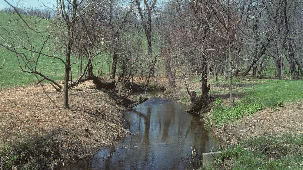 White Clay Creek near Stroud Water Research Center in 1979, before riparian buffer planting