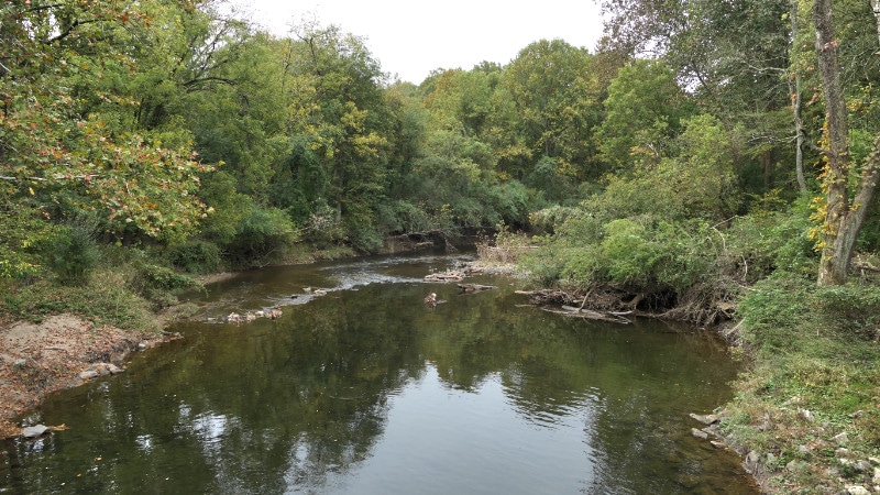 White Clay Creek with a riffle in the distance and trees along the banks.