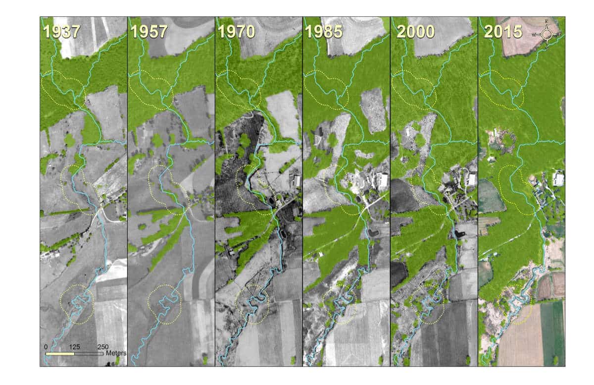 Aerial image of reforestation efforts along the east branch of White Clay Creek from 1937 to 2015.