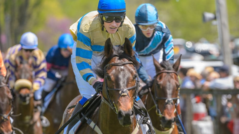 Two riders competing at the Willowdale Steeplechase.