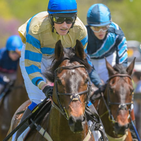 Riders at the Willowdale Steeplechase.