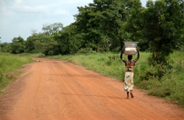 A woman walks down a dirt road carrying a basket on her head.