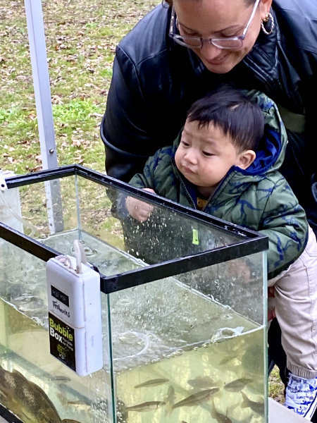 A woman holding a small child looking at fish in a fish tank.