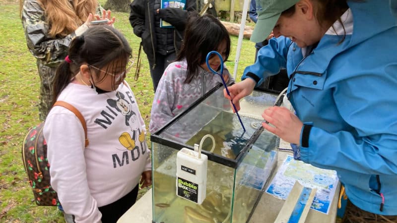 Two young girls watch as a research technician nets small fish in a fish tank.