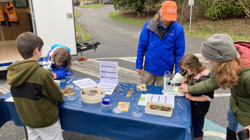 Three children examine live aquatic insects under microscopes set on a table in a parking lot.